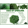 Bulk Price Tablets 500mg Raw Spirulina Health Products